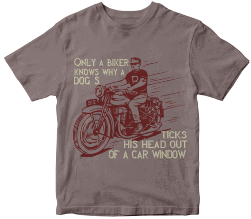 Only a biker knows why a dog sticks his head out of a car window