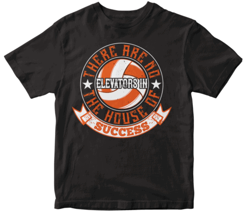 There are no elevators in the house of success-0